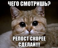 Чего смотришь? репост скорее сделай!!!