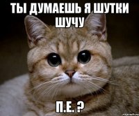 ты думаешь я шутки шучу П.Е. ?