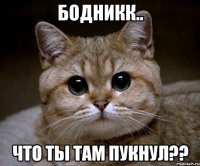 Бодникк.. что ты там пукнул??