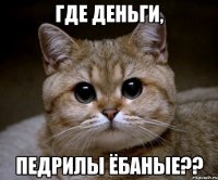 где деньги, педрилы ёбаные??