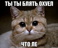 ты ты блять охуел что ле