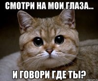 Смотри на мои глаза... И говори где ты?