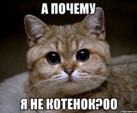 А почему Я не котенок?0о