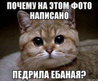 Почему на этом фото написано Педрила ебаная?