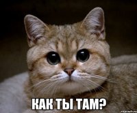  Как ты там?