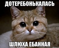 Дотеребонькалась Шлюха ебанная