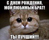 С Днем Рождения, мой любимый брат! Ты лучший!!!