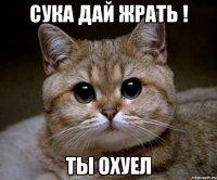 cука дай жрать ! ты охуел