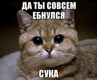 да ты совсем ебнулся сука