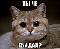 ты че ебу дал?