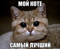 Мой коте Самый лучший