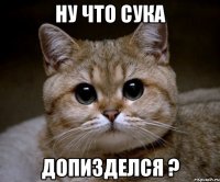 Ну что сука допизделся ?