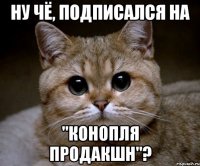 Ну чё, подписался на "Конопля Продакшн"?