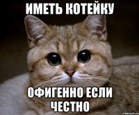 Иметь котейку Офигенно если честно