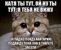 катя ты тут, ой ну ты тут, я тебя не вижу эх ладно пойду аватарию подажду пока она в туалете засела