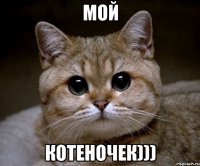 Мой Котеночек)))