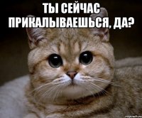 Ты сейчас прикалываешься, да? 