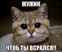 Жужик чтоб ты всрался!!