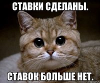 ставки сделаны. ставок больше нет.