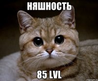 Няшность 85 LVL