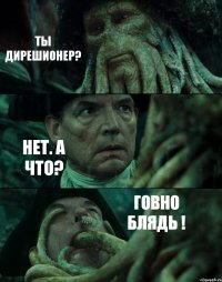 ТЫ ДИРЕШИОНЕР? НЕТ. А ЧТО? ГОВНО БЛЯДЬ !