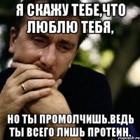 Я скажу тебе,что люблю тебя, но ты промолчишь.Ведь ты всего лишь протеин.