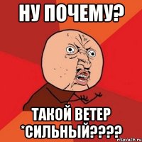 Ну почему? Такой ветер *сильный????