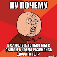 Ну почему в самолете только мы с сыном,а когда разбились дофига тел?