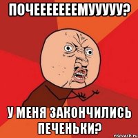 Почееееееемууууу? У меня закончились печеньки?