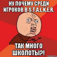 Ну почему среди игроков в S.T.A.L.K.E.R. так много школоты?!