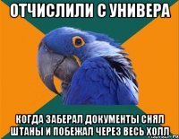 Отчислили с универа Когда заберал документы снял штаны и побежал через весь холл