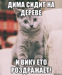 Дима сидит на дереве И Вику ето роздражает!