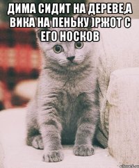 Дима сидит на дереве,а Вика на пеньку )ржот с его носков 