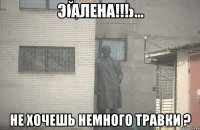 Алена!!! не хочешь немного травки ?