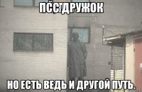 ПСС Дружок Но есть ведь и другой путь.