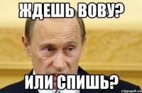 Ждешь Вову? Или спишь?