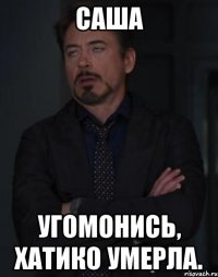 САША УГОМОНИСЬ, хатико умерла.