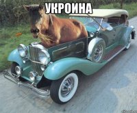 УКРОИНА 