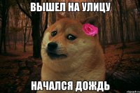 Вышел на улицу начался дождь