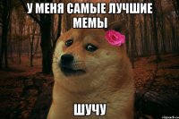 У меня самые лучшие мемы Шучу