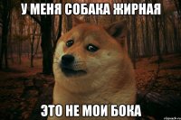 У меня собака жирная Это не мои бока