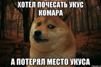 Хотел почесать укус комара А потерял место укуса