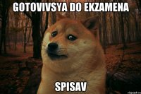 gotovivsya do ekzamena spisav