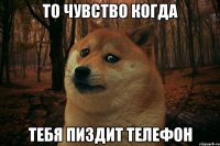 То чувство когда Тебя пиздит телефон