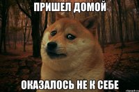 Пришел домой оказалось не к себе