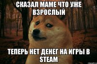 Сказал маме что уже взрослый теперь нет денег на игры в steam