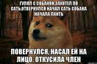 гулял с собакой,захотел по сать,отвернулся НАЧАЛ сать собака начала лаить Повернулся, насал ей на лицо. Откусила член