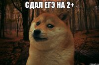 сдал егэ на 2+ 