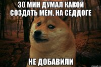 30 мин думал какой создать мем, на седдоге не добавили