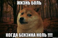 Жизнь боль когда бензина ноль !!!!